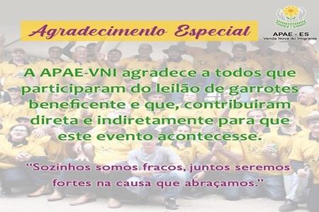 imagem Leilão Garrotes Beneficente a APAE-VNI 