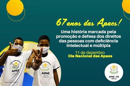 imagem 11 de dezembro é o Dia Nacional das Apaes 