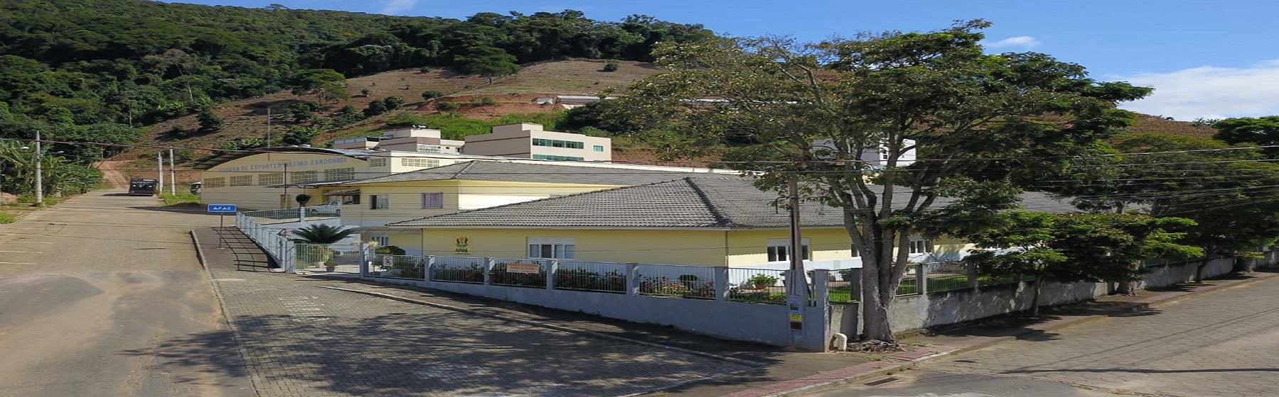 APAE-VNI ASSOCIAÇÃO DE PAIS E AMIGOS DOS EXCEPCIONAIS VNI